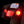 Custom Dynamics Genesis® 4 Solid Red 1156 Rear Turn Signal Inserts