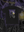 Night Moves Tee